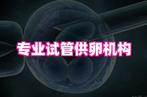 天津助孕网站 2